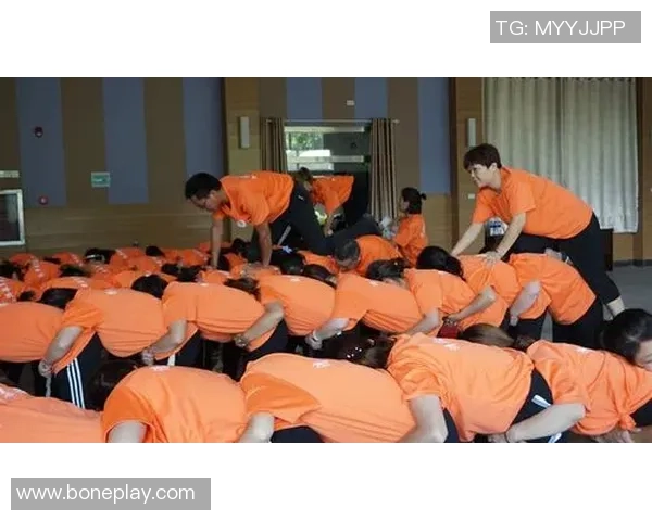 专访陈军：探寻排球背后的成功秘诀与团队精神