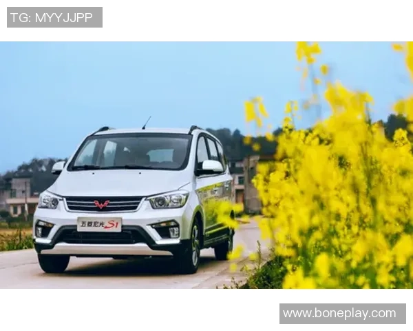 足球明星座驾价格揭秘让你意想不到的实惠选择与豪车的完美平衡