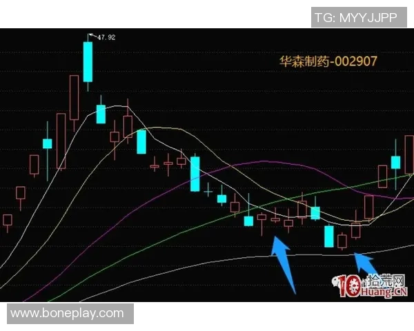 广州篮球队灵活性分析与战术创新的深度探讨