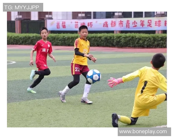 成都足球队在邀请赛中的战术表现分析与点评探讨 成都足球队在邀请赛中的战术表现分析与点评探讨